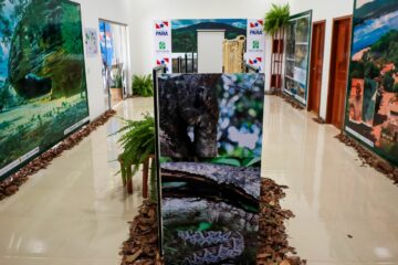 Memorial Fotográfico da Serra das Andorinhas destaca riquezas naturais do Pará