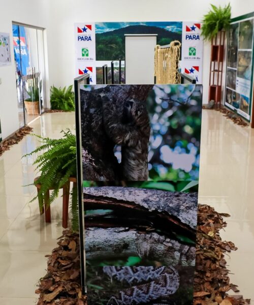 Memorial Fotográfico da Serra das Andorinhas destaca riquezas naturais do Pará