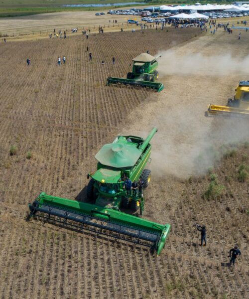 Roraima celebra colheita da soja com foco no desenvolvimento agrícola e sustentável