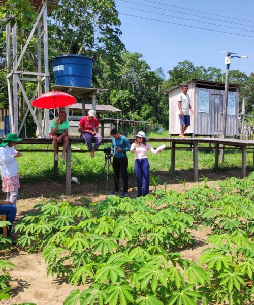 Impactos causados pelas mudanças climáticas são bases de estudo em pesquisa no Amazonas