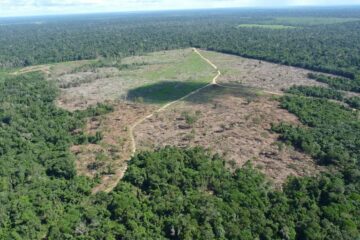 IPAM critica derrubada de vetos e alerta para retrocesso no Licenciamento Ambiental