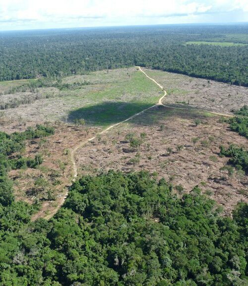 IPAM critica derrubada de vetos e alerta para retrocesso no Licenciamento Ambiental