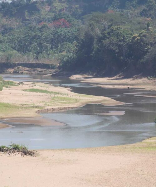 Seca extrema leva município de Assis Brasil, no Acre, a declarar situação de emergência