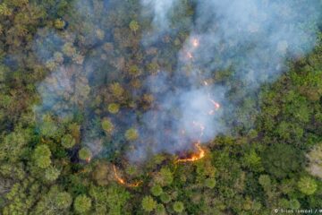 Restaura Natureza, olimpíada escolar pelo meio ambiente, dá a largada para a sua 3ª edição com foco na COP30