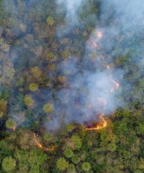 Emissão de CO2 por queimadas na Amazônia cresce 60%, estima Instituto de Pesquisa Ambiental da Amazônia