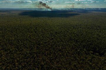 O crucial engajamento das empresas nos novos compromissos da agenda do clima