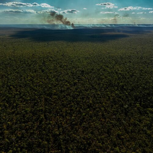 O crucial engajamento das empresas nos novos compromissos da agenda do clima