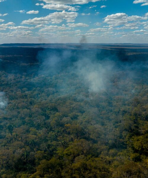 Campanha “Pelo Direito de Respirar Ar Puro e Acesso à Água Potável” toma as ruas de capitais da Amazônia