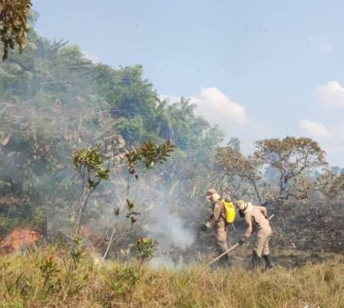 Governo lança 7ª edição da operação Amapá Verde para combater crimes ambientais e incêndios florestais durante a estiagem