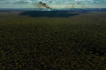 Amazônia já tem mais de 50 mil focos de fogo em 2024 e fumaça se espalha pelo país