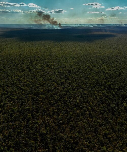 Amazônia já tem mais de 50 mil focos de fogo em 2024 e fumaça se espalha pelo país