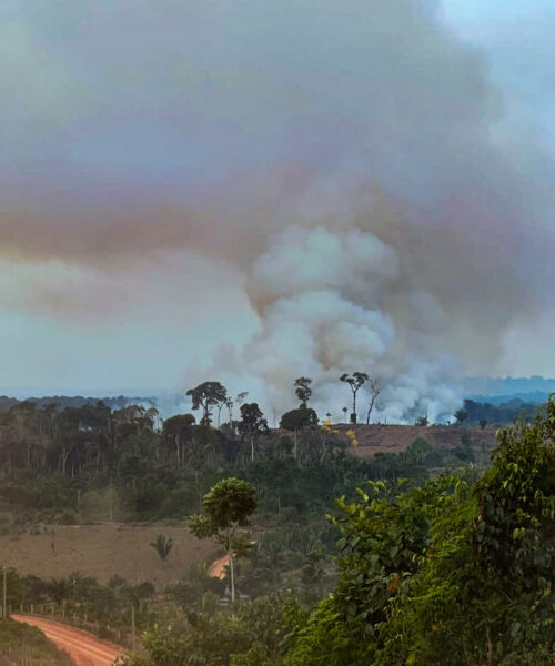 Idesam mobiliza campanha para apoiar agricultores impactados por queimadas no sul do Amazonas