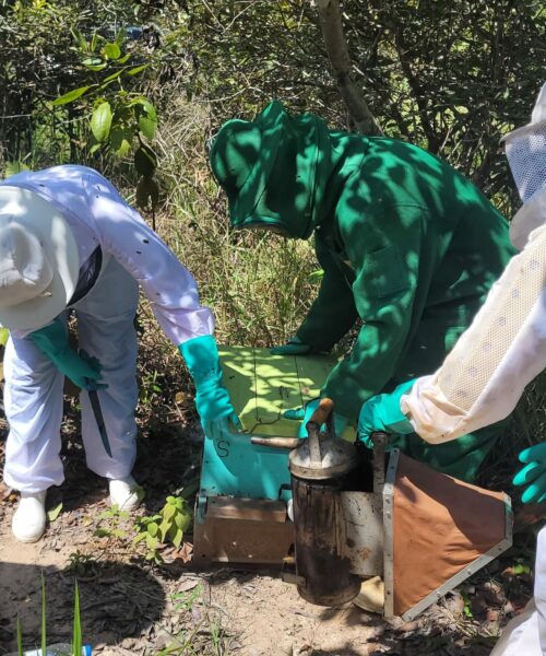 Capacitação em apicultura impulsiona produtividade e sustentabilidade no campo, em Roraima