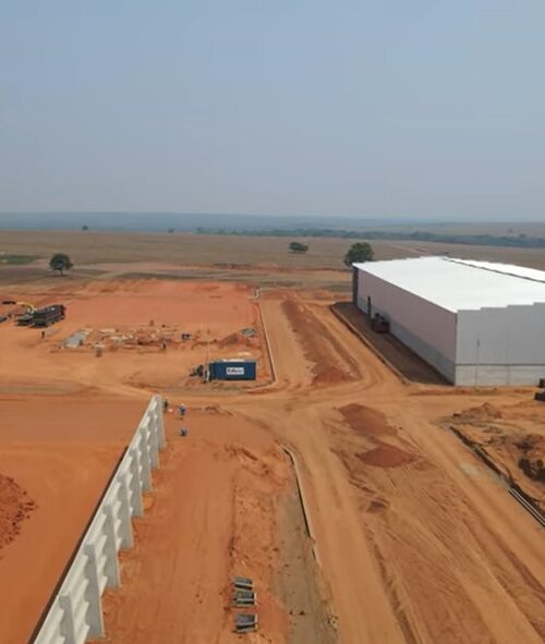 Mato Grosso terá a primeira indústria de refino de óleo vegetal de algodão