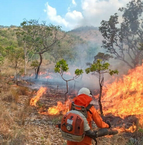 Boletim climático aponta uma redução de 10% na curva de crescimento dos focos de queimadas no Tocantins