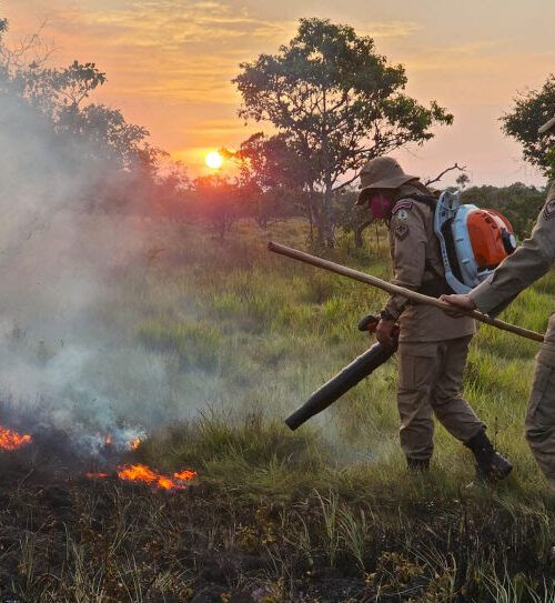 Operação Amapá Verde: Governo do Estado ativa nova base em Pedra Branca do Amapari para combater aumento da estiagem