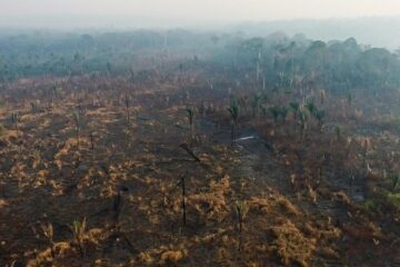 Medida dos EUA pode afetar cooperação internacional no combate ao crime na Amazônia, alerta secretária da Senad