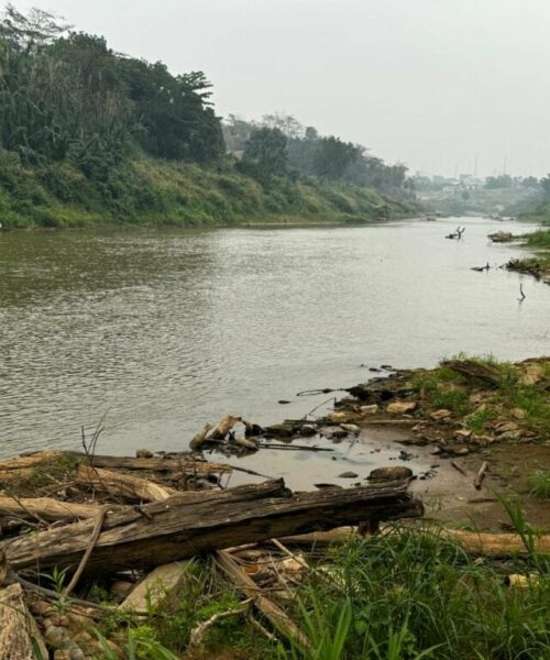 Rios no interior do Acre atingem maior seca histórica e governo atua para mitigar os impactos da estiagem