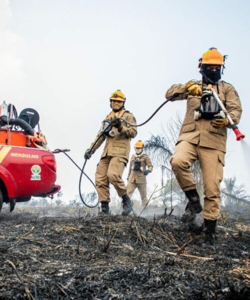 Com apoio do governo federal, Corpo de Bombeiros atua na Operação Fogo Controlado, no Acre