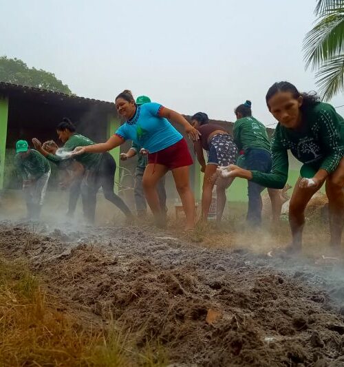 Agentes agroflorestais indígenas têm formação para plantio sem queima no Alto Rio Guamá, no Pará