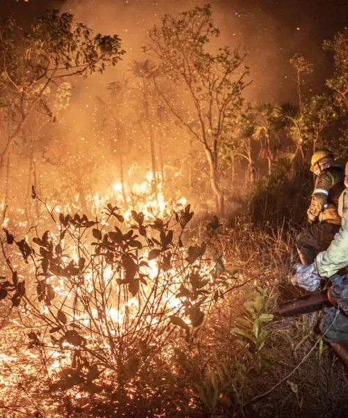 Brasil teve 11,39 milhões de hectares atingidos pelo fogo este ano, aponta Monitor do Fogo