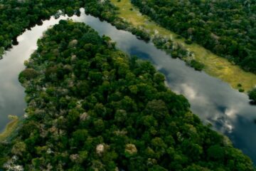 Manaus recebe Congresso Internacional sobre Educação Ambiental da Lusofonia