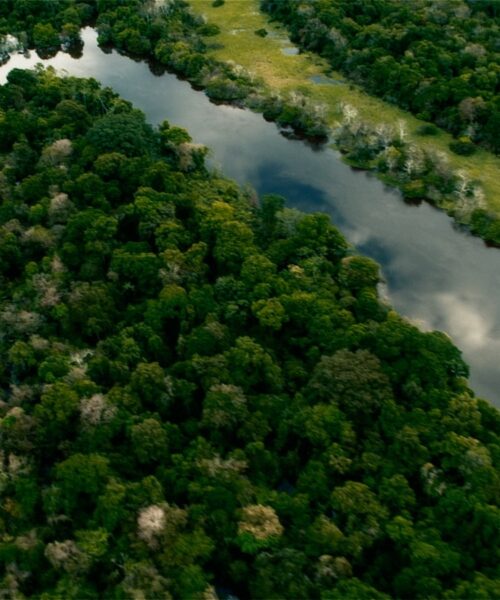 Manaus recebe Congresso Internacional sobre Educação Ambiental da Lusofonia