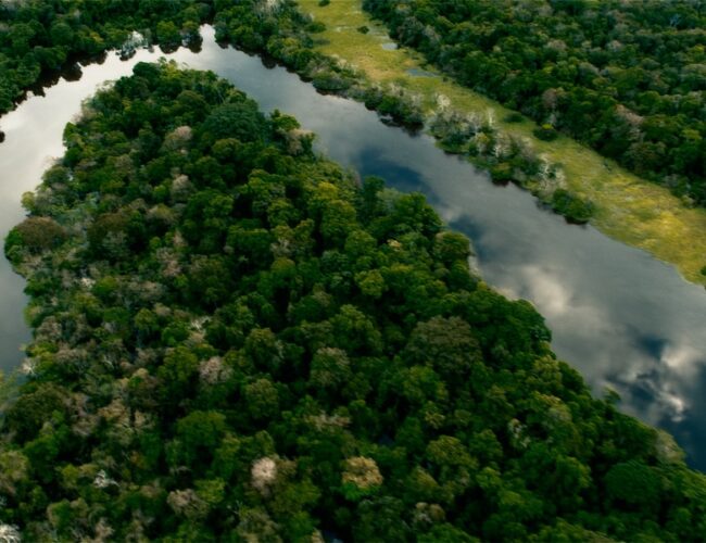 Manaus recebe Congresso Internacional sobre Educação Ambiental da Lusofonia