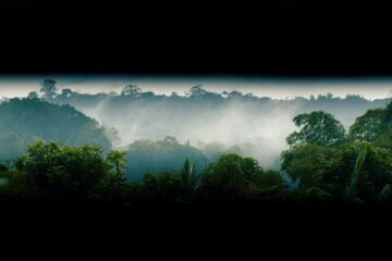 Série em 10 episódios traz histórias e discussões sobre sustentabilidade na Amazônia