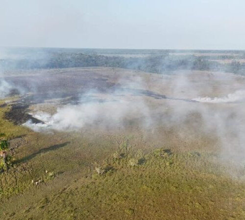 Amazônia e Cerrado registram maior área queimada desde o início do Monitor do Fogo