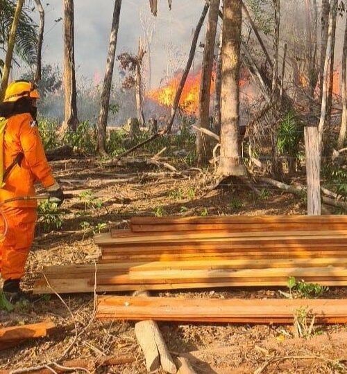 Corpo de Bombeiros de Roraima tem projeto aprovado para combate a incêndios florestais