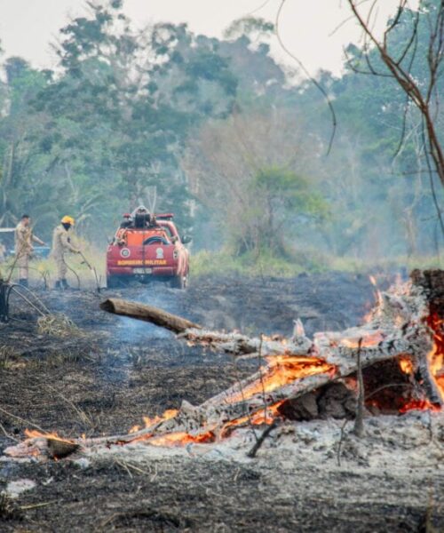 Recursos de quase R$ 11 milhões destinados pela União reforçam ações de combate a queimadas e mitigação da seca no Acre