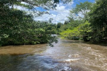 Tocantins publica 7º Boletim Climático com registro de aumento dos níveis dos rios e redução dos focos de fogo nesta semana