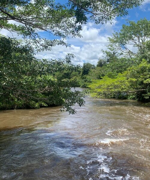 Tocantins publica 7º Boletim Climático com registro de aumento dos níveis dos rios e redução dos focos de fogo nesta semana