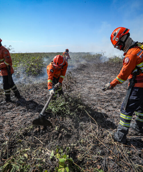 As estratégias e técnicas do Corpo de Bombeiros no combate a incêndios florestais no Mato Grosso