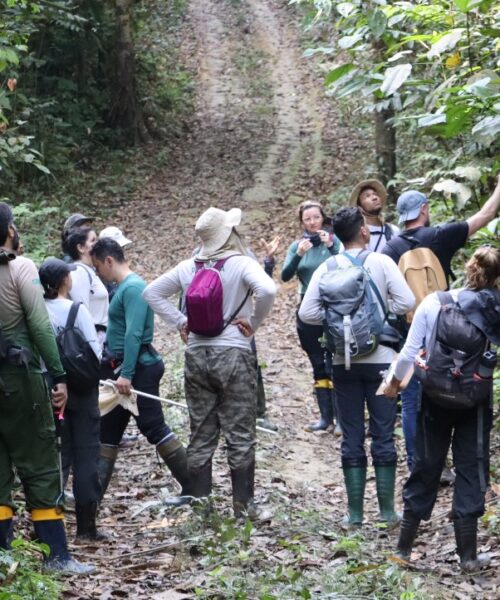 Evento imersivo realizado nas florestas úmidas da Amazônia é apoiado pelo Governo do Amazonas