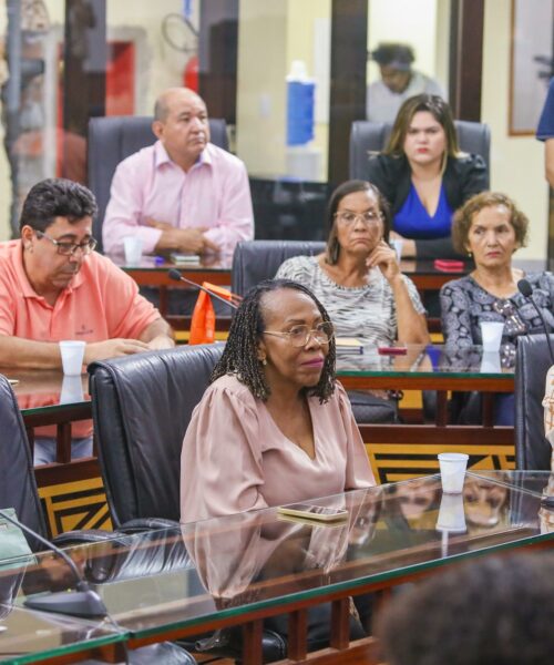 Aleac realiza audiência pública para discutir a Política Nacional de Saúde da População Negra