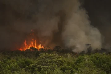 Brasil tem 22,38 milhões de hectares atingidos pelo fogo em nove meses