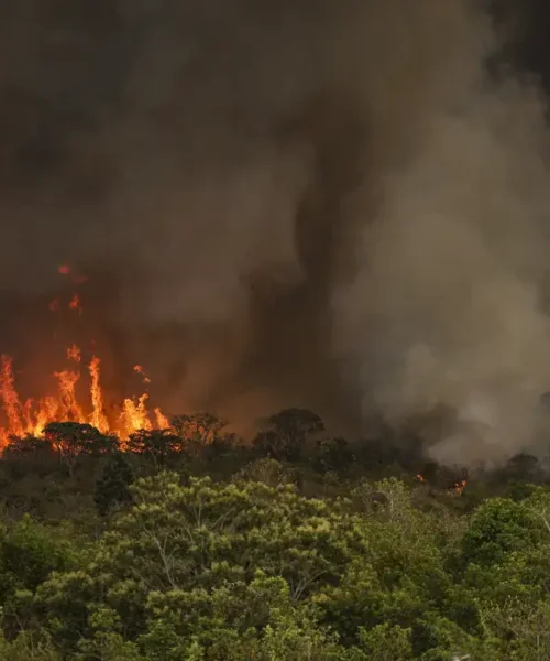 Brasil tem 22,38 milhões de hectares atingidos pelo fogo em nove meses