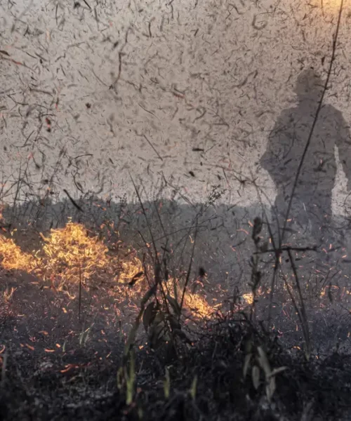 Focos de incêndios no Brasil já são 76% maiores que em 2023, apontam dados do Inpe