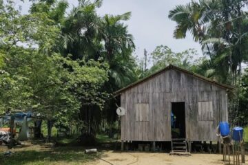 Governo de Rondônia realiza levantamento para promover equilíbrio ambiental em Reserva Sustentável