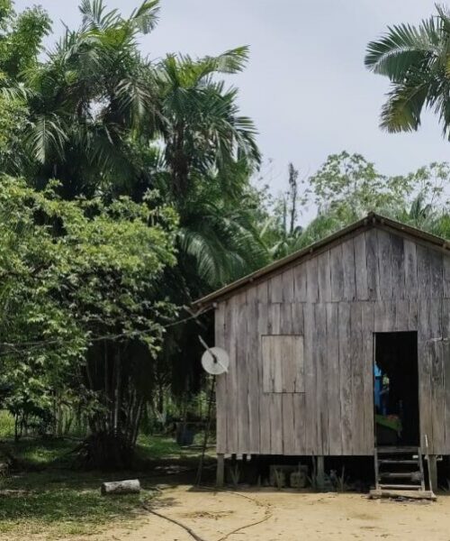 Governo de Rondônia realiza levantamento para promover equilíbrio ambiental em Reserva Sustentável