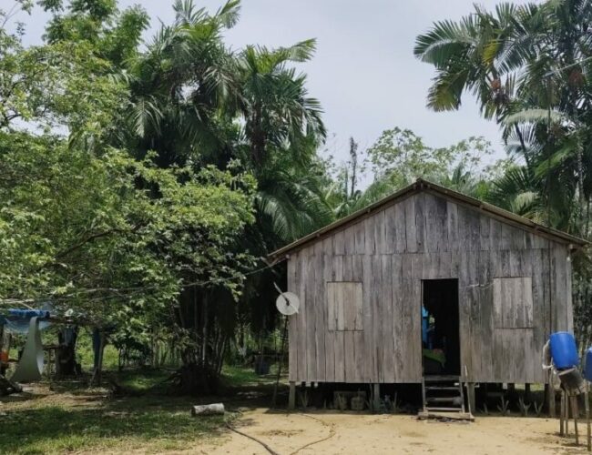 Governo de Rondônia realiza levantamento para promover equilíbrio ambiental em Reserva Sustentável