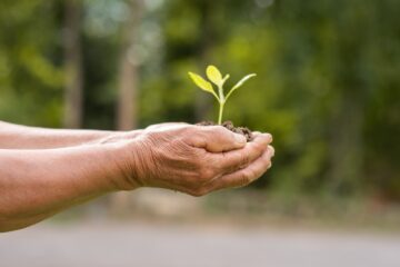 Estudo aponta que brasileiros não acreditam no comprometimento ambiental das marcas