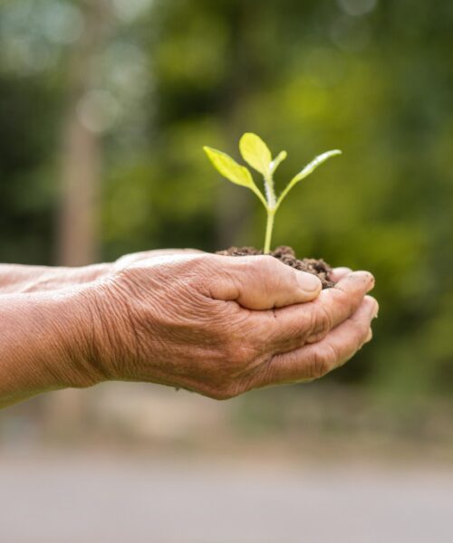 Estudo aponta que brasileiros não acreditam no comprometimento ambiental das marcas