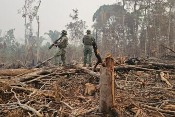 Operação do Ibama resulta em R$ 6,8 milhões em multas por desmatamento e queimadas no Amazonas