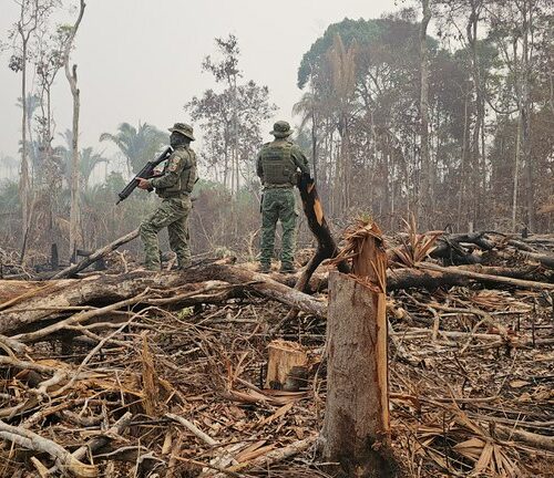 Operação do Ibama resulta em R$ 6,8 milhões em multas por desmatamento e queimadas no Amazonas