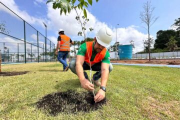 Plantio de árvores marca celebração do Dia dos Professores no Parque da Cidade, em Belém