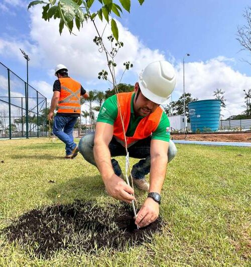 Plantio de árvores marca celebração do Dia dos Professores no Parque da Cidade, em Belém