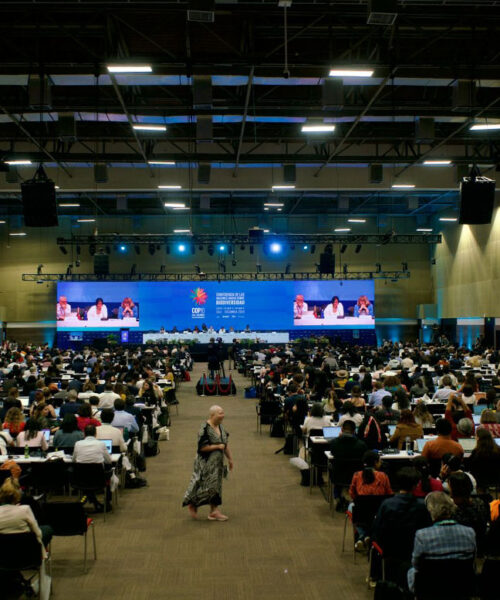 Apesar de sucessos, COP16 termina em incerteza sobre acordos financeiros cruciais adiados